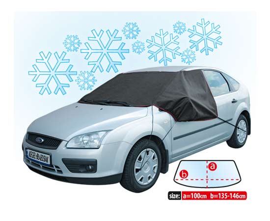 Zomer en Winter voorruitcover